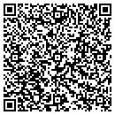 QR code with Premium Imports Inc contacts