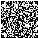 QR code with Publix Self Storage contacts