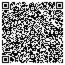 QR code with Pressure Systems Inc contacts
