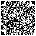 QR code with New York City Kids contacts