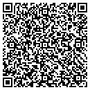QR code with Colonie Sealcoating contacts