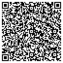 QR code with Princess Tours contacts