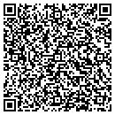QR code with Pubco Corporation contacts