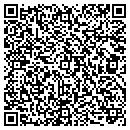 QR code with Pyramid Tool & Die Co contacts