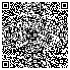 QR code with Cassiterite Plasters Inc contacts