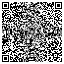 QR code with Pyramid Holdings Inc contacts