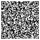 QR code with Pyxis Systems Inc contacts