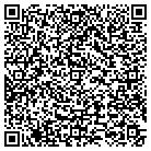 QR code with Puliafico Investments LLC contacts