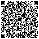 QR code with Puliafico Environmental contacts