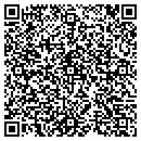 QR code with Profesis Invest Inc contacts