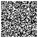 QR code with Pyramid Steel Inc contacts