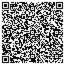QR code with Chestnut Hill Realty contacts