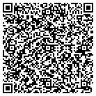 QR code with Pulscher Construction contacts