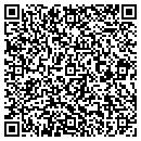 QR code with Chattanooga Dino Out contacts