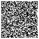 QR code with Pv Holding Corp contacts