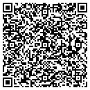 QR code with Pyle Petroleum Inc contacts