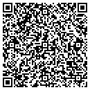 QR code with Purses Galore & More contacts