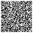 QR code with Colt Joint Venture contacts