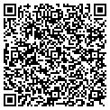 QR code with FOG Inc contacts