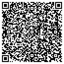 QR code with Bluseal of Virginia contacts