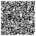 QR code with Gotcha contacts