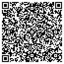 QR code with Pulsifer & Hutner contacts