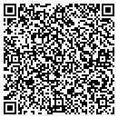 QR code with Prosons Electric Inc contacts