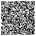 QR code with Mosaico contacts