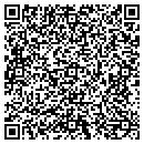 QR code with Blueberry Hills contacts