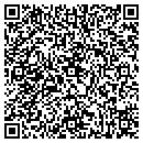 QR code with Pruett Services contacts