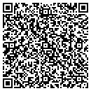 QR code with Chelatna Lake Lodge contacts