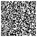 QR code with Badger Internet Inc contacts