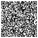 QR code with Pyle Group LLC contacts