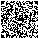 QR code with Pyramid Group Homes contacts