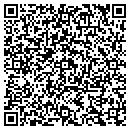 QR code with Prince Construction Inc contacts