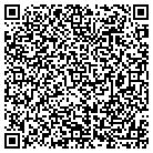 QR code with Blue Matisse contacts