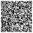 QR code with Pub One Miami contacts