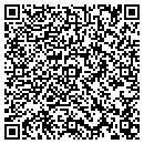 QR code with Blue Wave Waterwalls contacts