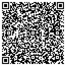 QR code with Bgr Enterprises Inc contacts