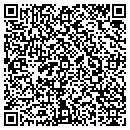 QR code with Color Techniques Inc contacts