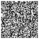 QR code with Bdi Pressure Cleaning contacts