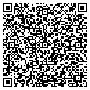 QR code with Borealis Window Cleaning contacts