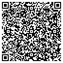 QR code with C & S Insulation Inc contacts