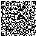 QR code with Signco contacts