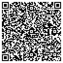 QR code with Cjt Window Cleaning contacts