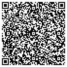 QR code with Blue Waters Solutions Inc contacts
