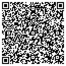 QR code with Cattuzzo & Sons Inc contacts