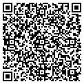 QR code with Amscot contacts