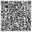 QR code with Public Safety Office contacts