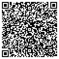 QR code with P E Co contacts